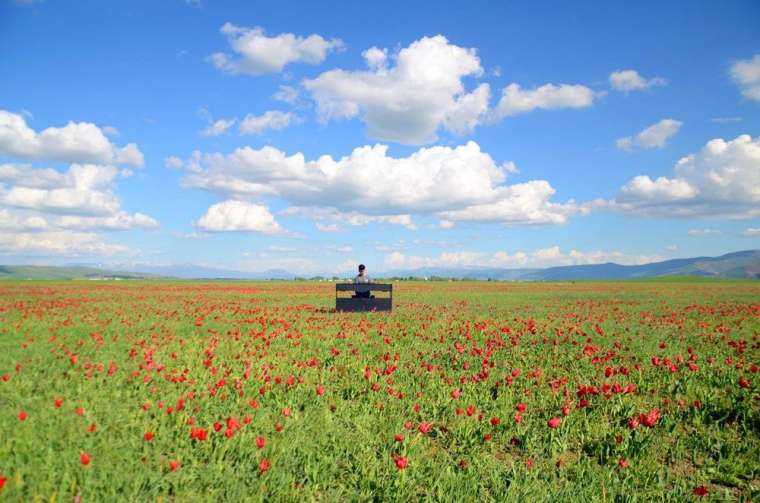 Bager Çalışçı'dan Muş Ovası'nda piyano resitali 2