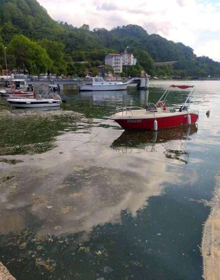 Karadeniz'de de görüldü! Korkutan alarm 2