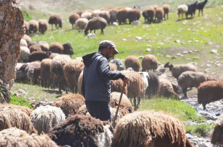 Fenomen çobanın sosyal medya kazancı şaşırttı! 7