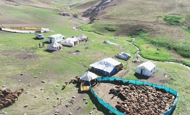 Fenomen çobanın sosyal medya kazancı şaşırttı! 4