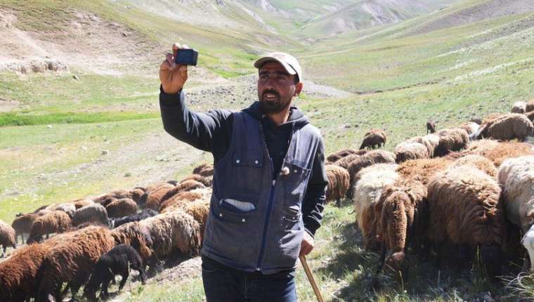 Fenomen çobanın sosyal medya kazancı şaşırttı! 5