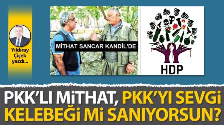 PKK'lı Mithat, PKK'yı sevgi kelebeği mi sanıyorsun?