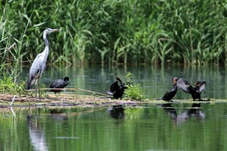 Buzullar eridi! Ortaya bu görüntüler çıktı 15