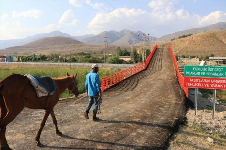 İşte Türkiye'nin ilk ekolojik üst geçidi 3