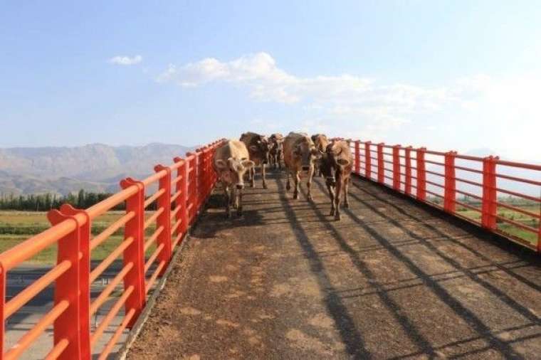 İşte Türkiye'nin ilk ekolojik üst geçidi 6