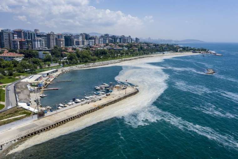 Marmara Denizi'nde korkutan tehlike: Çevre felaketine neden olabilir 2