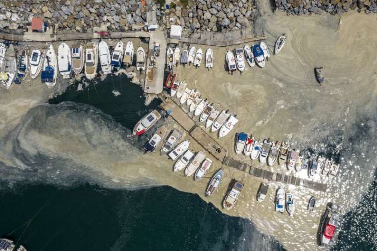 Marmara Denizi'nde korkutan tehlike: Çevre felaketine neden olabilir 3