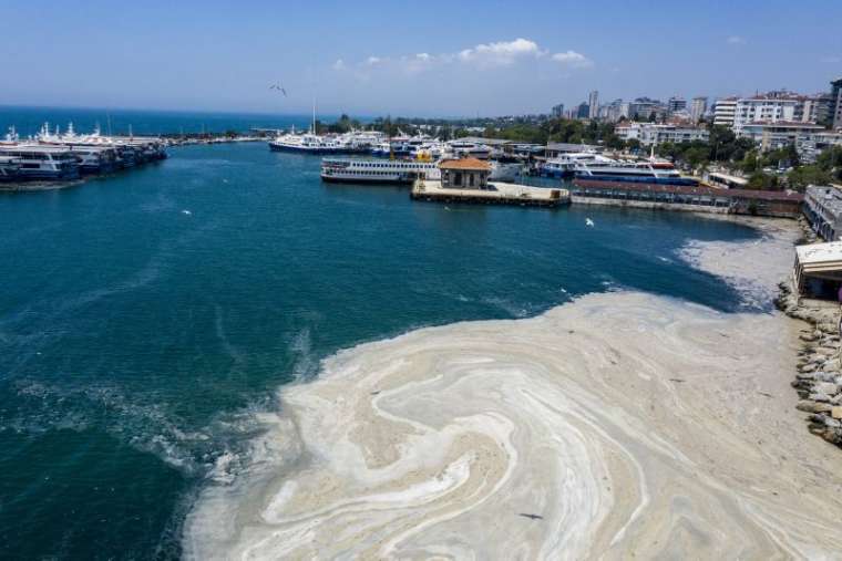 Marmara Denizi'nde korkutan tehlike: Çevre felaketine neden olabilir 8