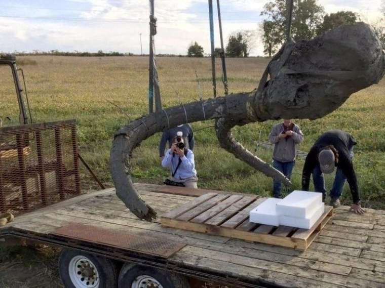 İçme suyu hattından çıktı! Tam 9 metre 16