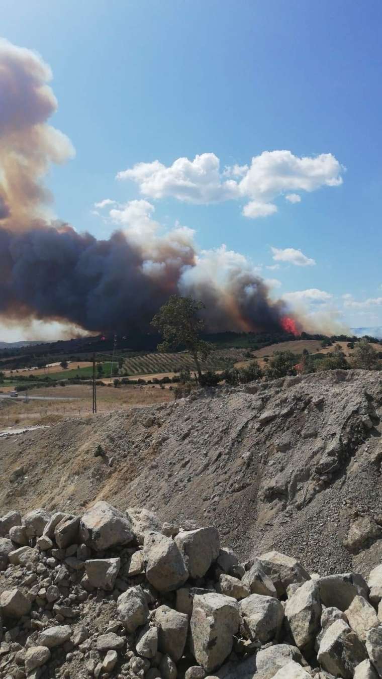 Çanakkale'de orman yangını! 1