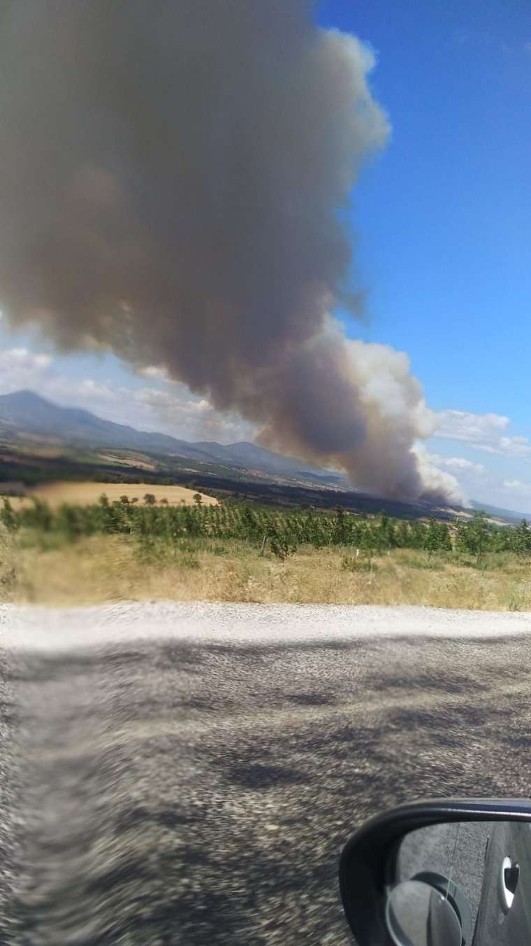 Çanakkale'de orman yangını! 4