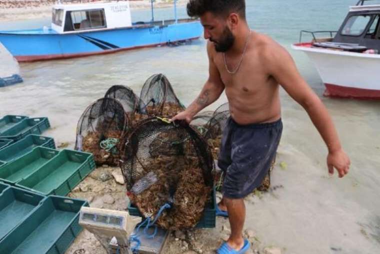 İşletme bitirip köyüne döndü! Ayda 100 bin lira kazanıyor 2