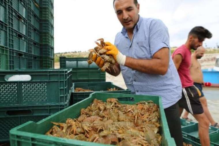 İşletme bitirip köyüne döndü! Ayda 100 bin lira kazanıyor 15