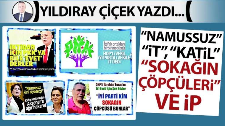 “Namussuz”, “İT”, “Katil”, “Sokağın Çöpçüleri” ve İP