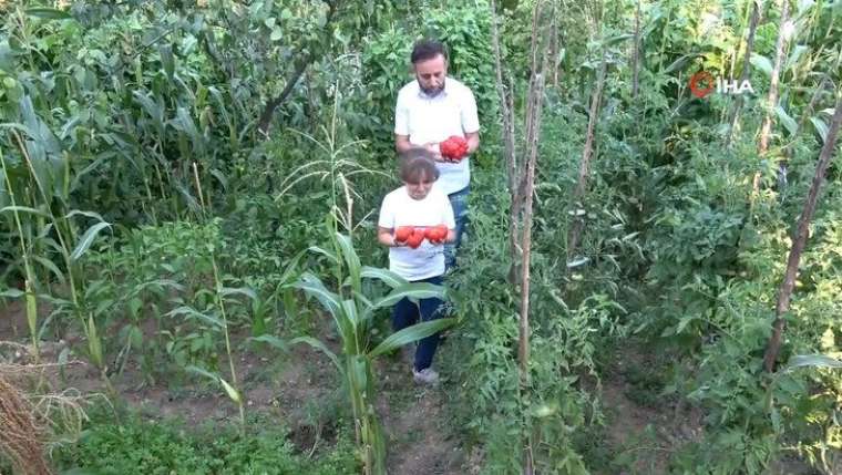 Bahçeyi gezerken buldular! Gören şaştı kaldı 1