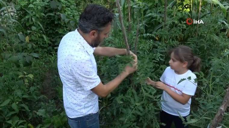 Bahçeyi gezerken buldular! Gören şaştı kaldı 3