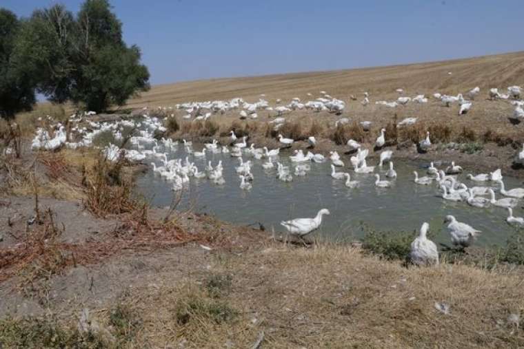 Hobi olarak başladı! Siparişlere yetişemiyor 16