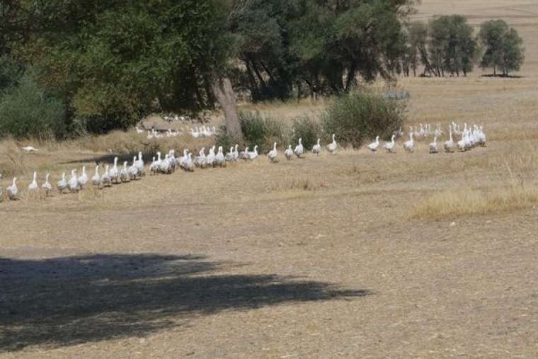 Hobi olarak başladı! Siparişlere yetişemiyor 4