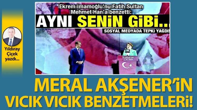 Meral Akşener'in vıcık vıcık benzetmeleri!