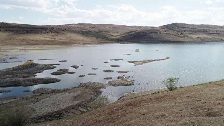 Erzurum'da korkutan görüntü: Sular çekilince ortaya çıktı 9