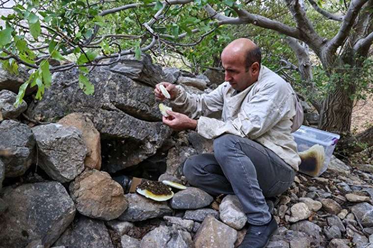 Altından daha değerli, bin bir güçlükle çıkarılıyor 1