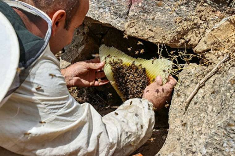 Altından daha değerli, bin bir güçlükle çıkarılıyor 10