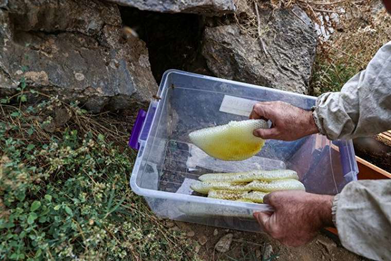 Altından daha değerli, bin bir güçlükle çıkarılıyor 9