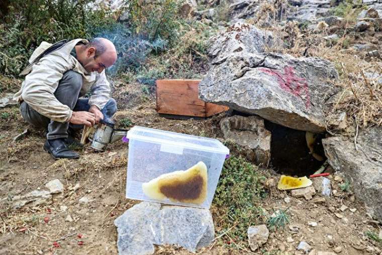 Altından daha değerli, bin bir güçlükle çıkarılıyor 3