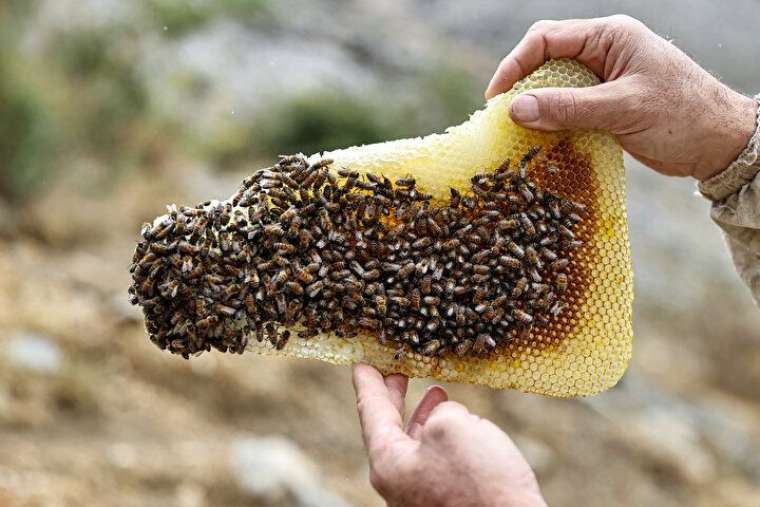 Altından daha değerli, bin bir güçlükle çıkarılıyor 12