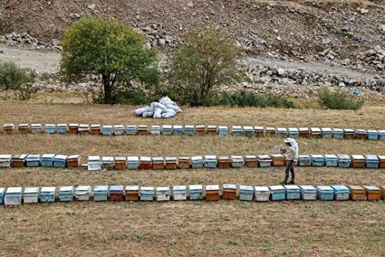 Altından daha değerli, bin bir güçlükle çıkarılıyor 6