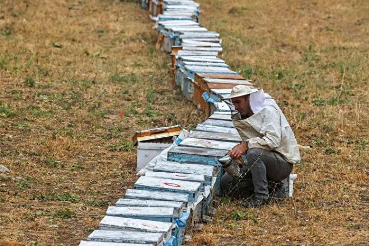 Altından daha değerli, bin bir güçlükle çıkarılıyor 7