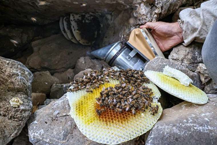 Altından daha değerli, bin bir güçlükle çıkarılıyor 14