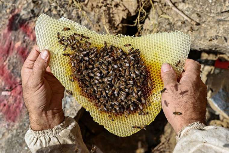 Altından daha değerli, bin bir güçlükle çıkarılıyor 15