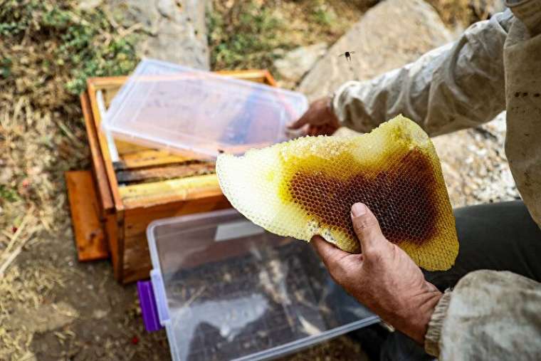 Altından daha değerli, bin bir güçlükle çıkarılıyor 17