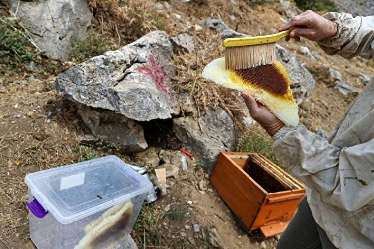 Altından daha değerli, bin bir güçlükle çıkarılıyor 20