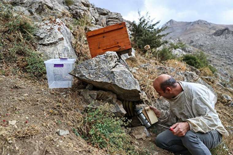 Altından daha değerli, bin bir güçlükle çıkarılıyor 19