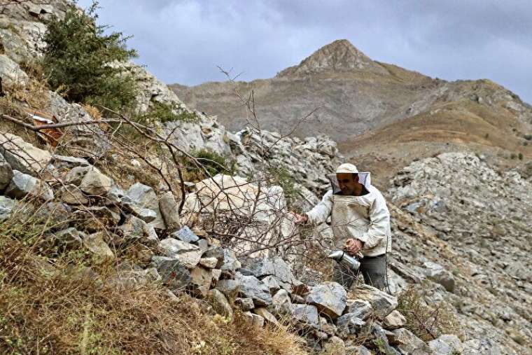 Altından daha değerli, bin bir güçlükle çıkarılıyor 22