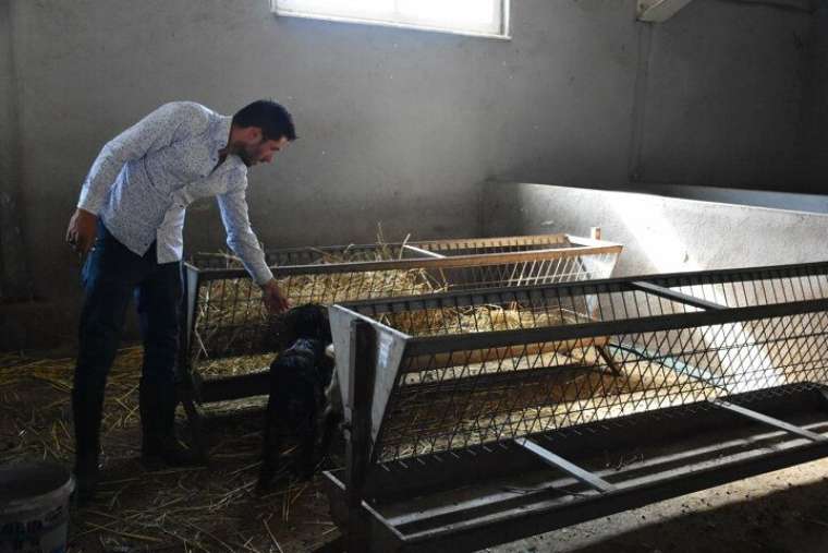 AVM yöneticiliğini bırakıp köyüne yerleşti! Şimdi talebe yetişemiyor... 12