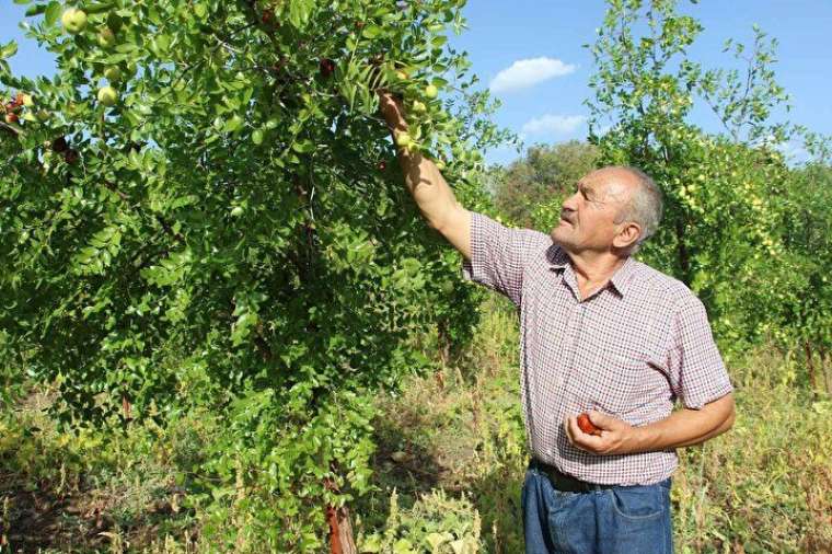 Sadece su istiyor, maddi yönden de getirisi çok yüksek 3