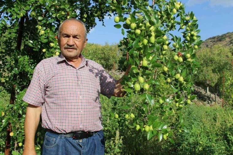 Sadece su istiyor, maddi yönden de getirisi çok yüksek 2