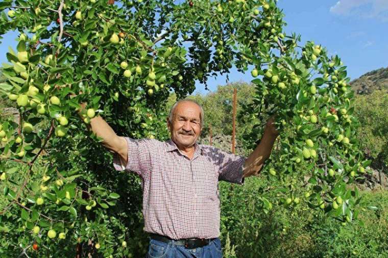 Sadece su istiyor, maddi yönden de getirisi çok yüksek 5