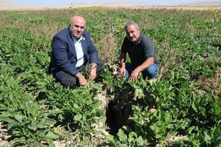 Konya'dan sonra bir ilde daha ortaya çıktı: İlk defa böyle bir şey görüyorum 8