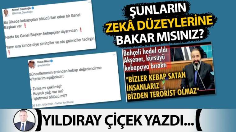 Şunların zekâ düzeylerine bakar mısınız?