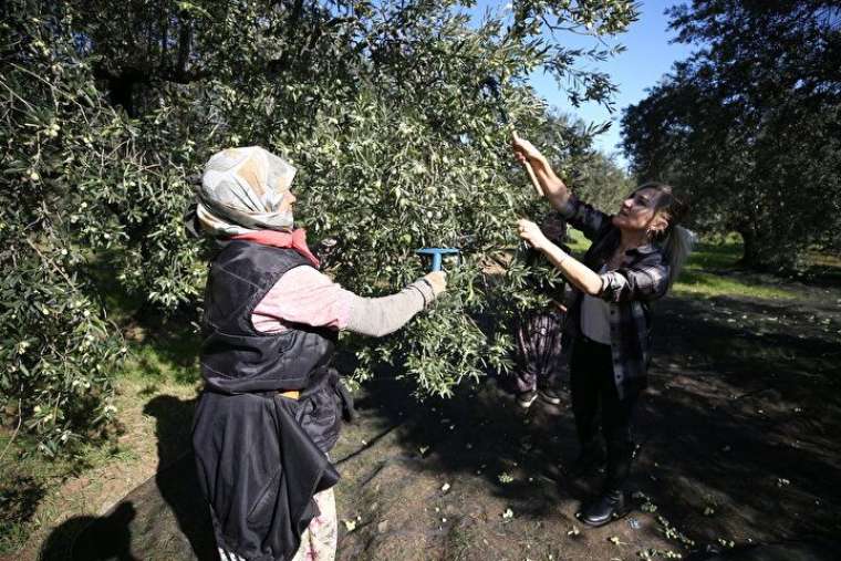 Yöneticiliği bıraktı bu işe başladı, şimdi paraya para demiyor! 8