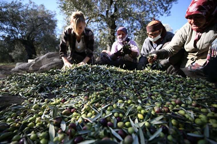 Yöneticiliği bıraktı bu işe başladı, şimdi paraya para demiyor! 6