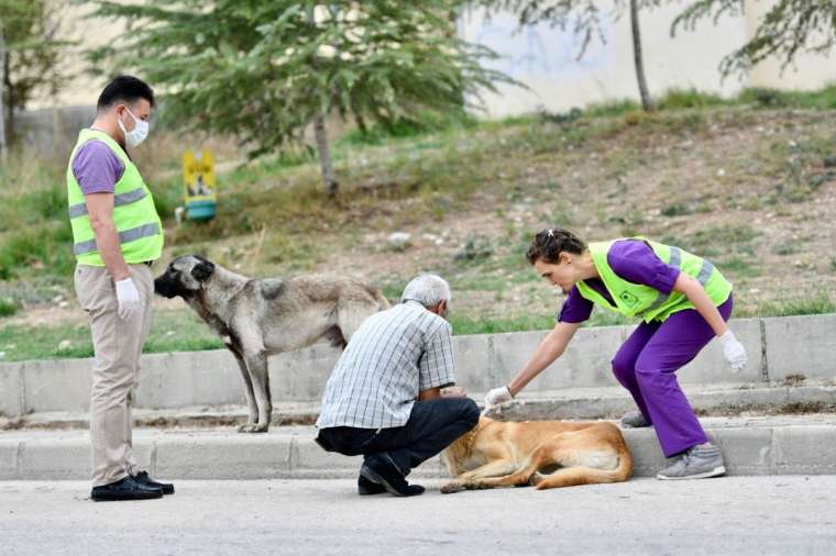 Sarıçam Belediyesi’nin şefkat eli bu kez de sokak hayvanlarına uzandı 4