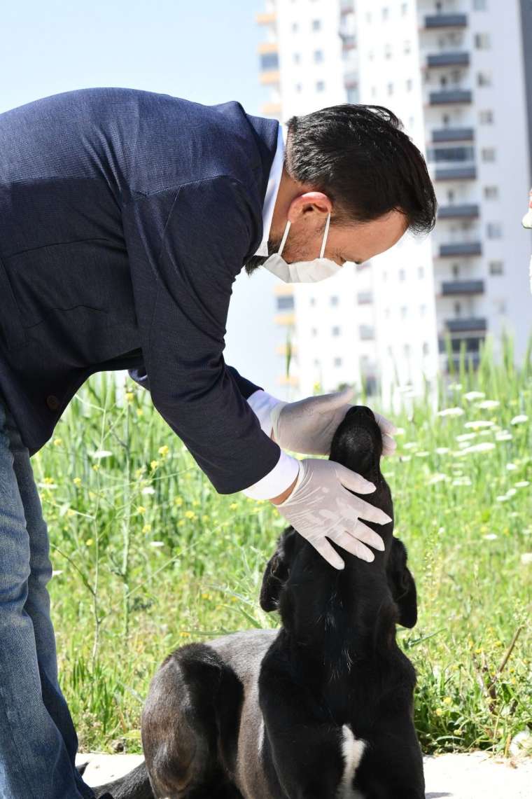 Sarıçam Belediyesi’nin şefkat eli bu kez de sokak hayvanlarına uzandı 2