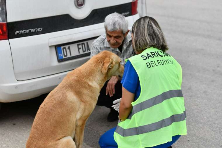 Sarıçam Belediyesi’nin şefkat eli bu kez de sokak hayvanlarına uzandı 9