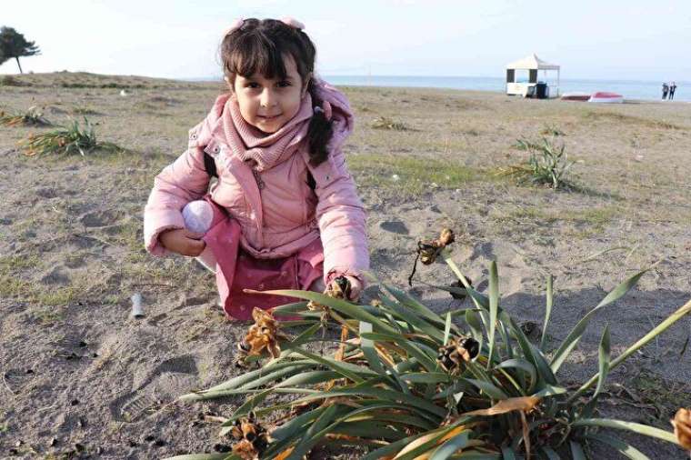 Bu çiçeği kopartmanın cezası dudak uçuklatıyor 12