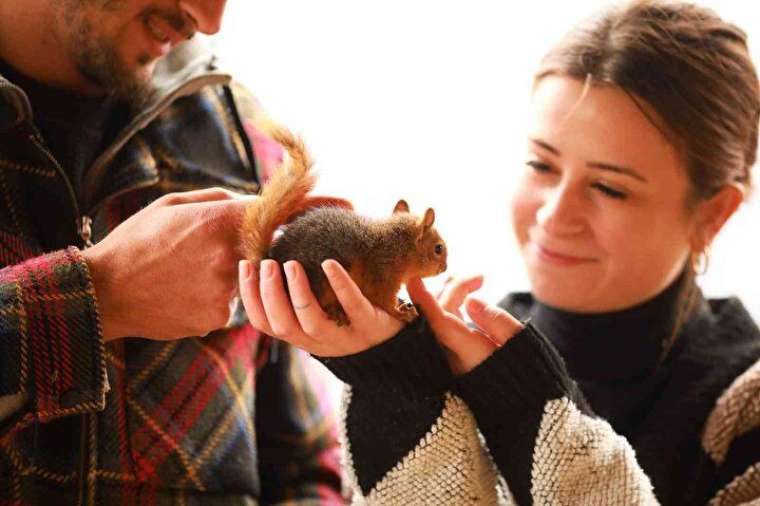 Çay içiyor, cips yiyor, otomobille geziyor! 4